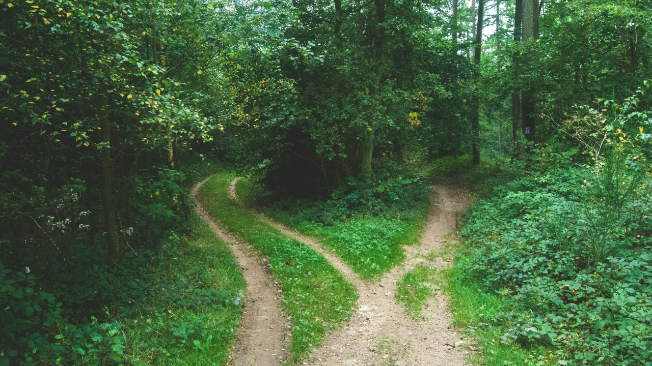 When It’s Time to Pivot — and When It’s Not