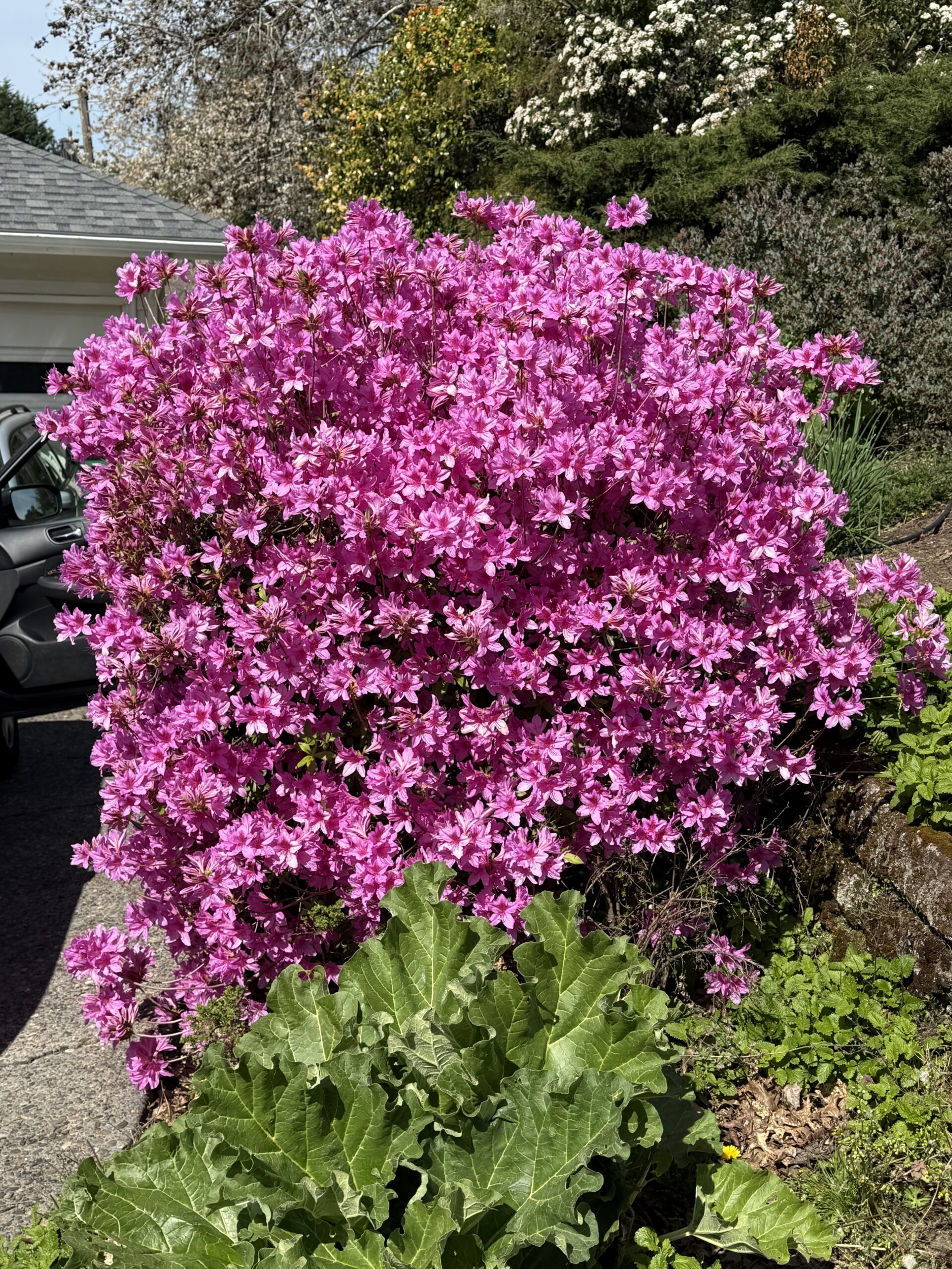 Spring Health Tips: Simple Ways to Support Your Well-Being This Season